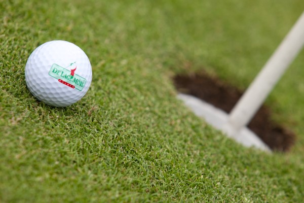 Eine Golfklinik ist eine unterhaltsame Einführung in den Golfsport für Ihre Firma, Familie oder Freunde.